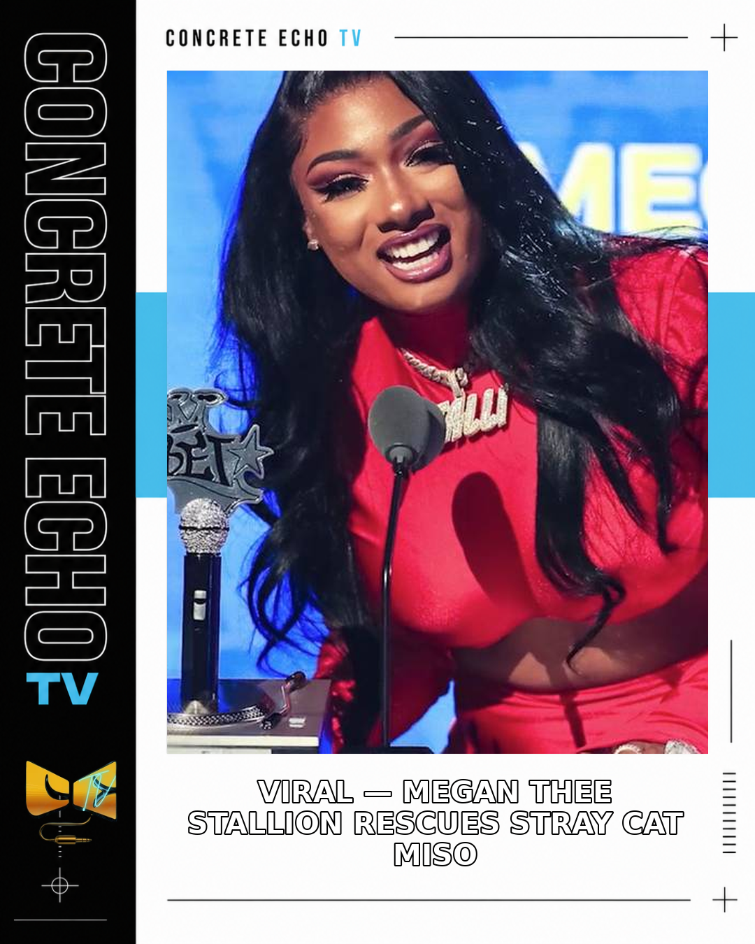 Megan Thee Stallion Rescues Stray Cat Miso