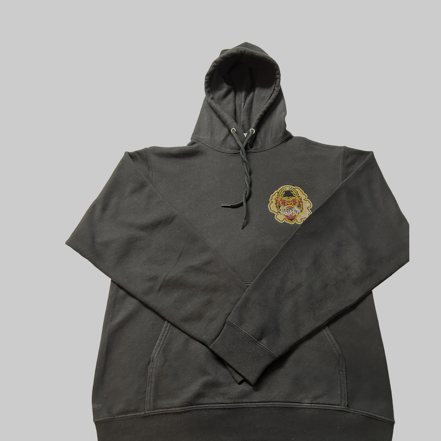 Thunder Ape Embroidered Hoodie